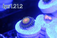 IMG_4473.JPG