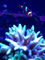 photo (23).jpg