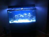 ImageUploadedByReefs1348642988.687597.jpg