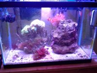 20130601_165815.jpg