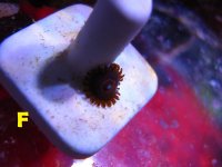 IMG_0648.JPG