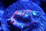 IMG_3043.jpg