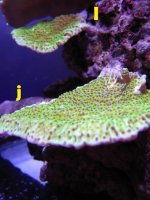 IMG_0672.jpg