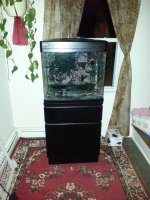 20130421_224815 (Large).jpg