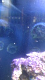2013-09-04 17.34.39.jpg