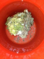 ImageUploadedByReefs1370153174.627291.jpg