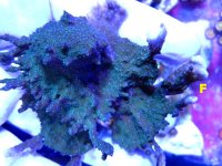 IMG_0150.JPG