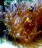 20130701_132326-1.jpg