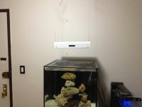 ImageUploadedByReefs1370196418.595231.jpg