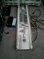 20130422_171129.jpg
