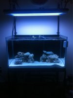 ImageUploadedByReefs1352729856.803107.jpg