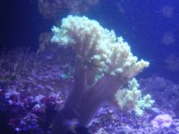 DSCN0692.JPG