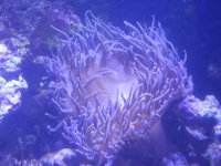 DSCN0708.JPG