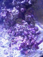 DSCN0704.jpg