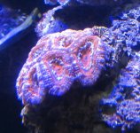IMG_1694.jpg