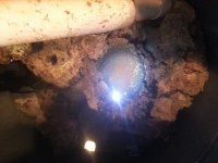 20130602_214324.jpg