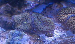 2013-09-05 19.36.14.jpg