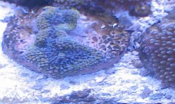 2013-09-05 19.38.34.jpg