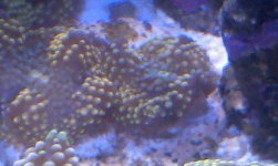 2013-09-05 19.39.43.jpg