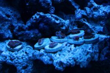 IMG_3265.JPG IMG_3265.JPG