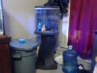20130423_165221-485577419.jpg