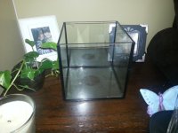 20130603_182038.jpg