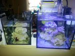 20130603_181954.jpg
