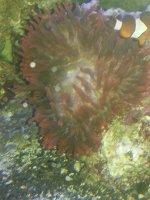 20130330_233536_resized.jpg
