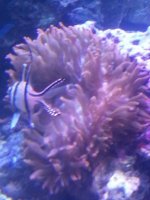 20130331_074444_3_resized.jpg