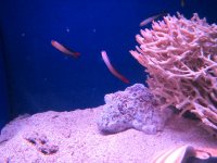 IMG_1780.JPG