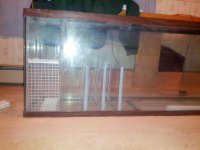 sump 2.jpg sump 2.jpg