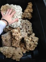 ImageUploadedByReefs1361311599.592334.jpg