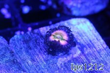 IMG_4111.JPG