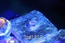 IMG_4127.JPG