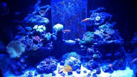 IMAG0810.jpg