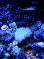 20130307_165743.jpg