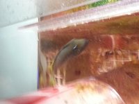 20130720_162632.jpg
