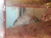 20130720_162651.jpg
