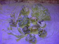 ImageUploadedByReefs1364861733.906495.jpg