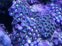 20121115_1123241082285022.jpg