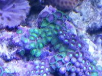 20121115_11235530654029.jpg