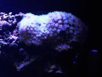 galaxia1.jpg