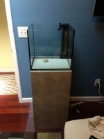 ImageUploadedByReefs1374383384.501934.jpg