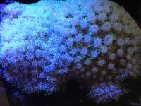 galaxia3.jpg