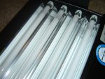 24x18x8 Frag Tank and 24 inch Tek 4 lamp fixture 005.JPG