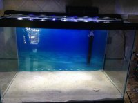 20G Tall with livesand and reefcapable LEDs.jpg