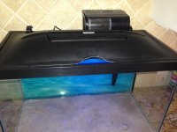 20G Tall with original LED hood.jpg