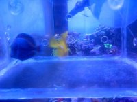 IMG-20130907-00105.jpg