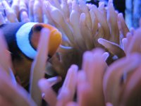 IMG_1769.JPG