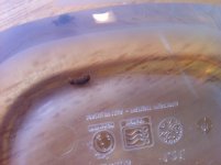 Sump Critter2.jpg